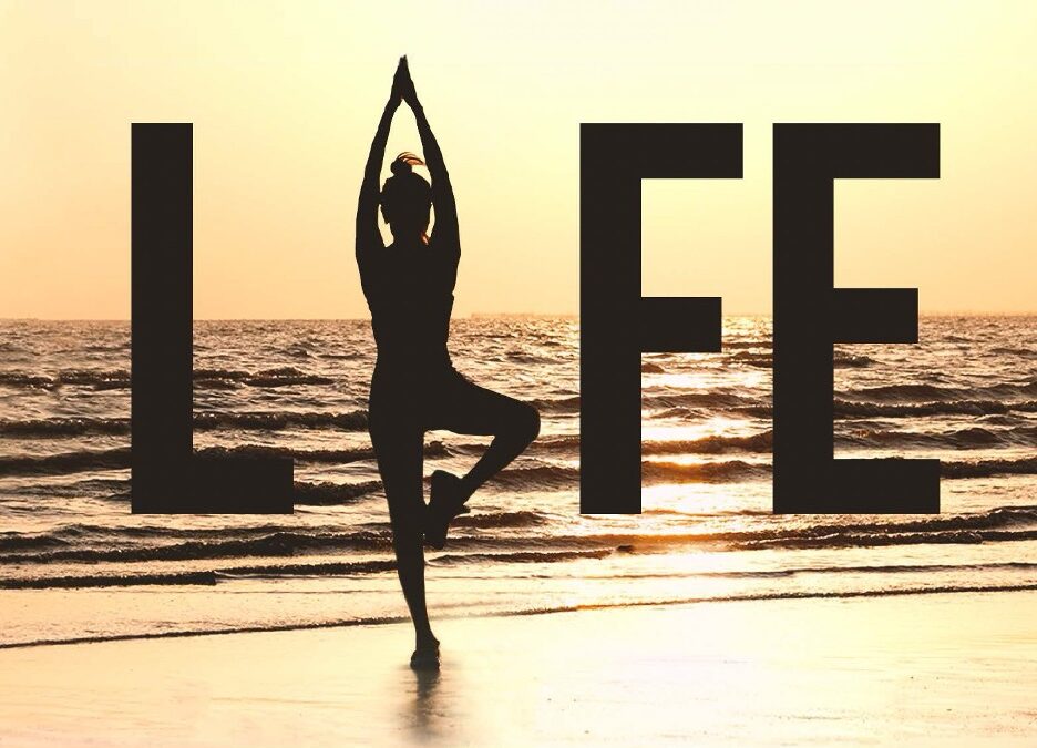 A Healthy Body means a Healthy Mind 