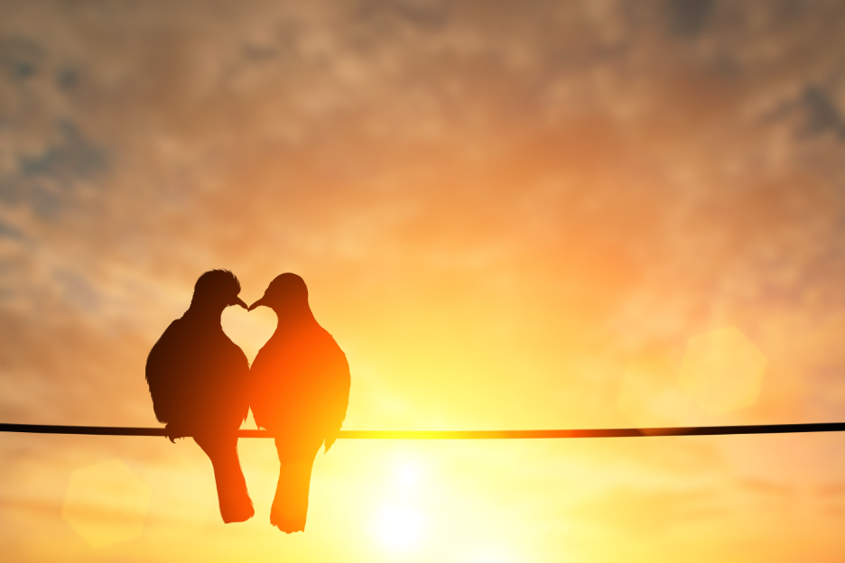 Why the Heart Alone Isn’t Enough – The Science Behind Sacred Love