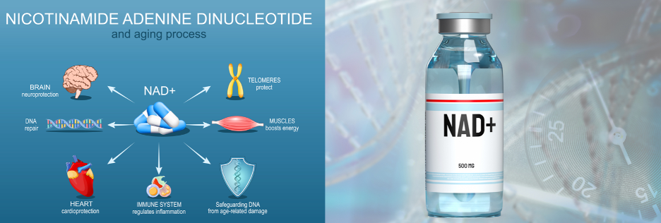 NAD and the Science of Aging – Science, Benefits, and Costs of NAD Supplementation