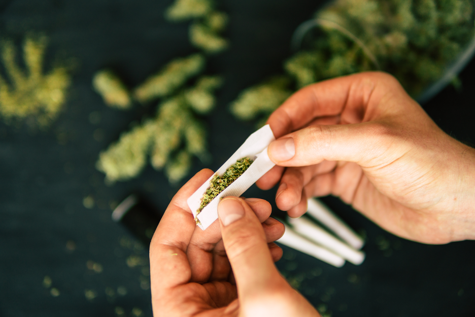 The Cannabis Conundrum – Healing Herb or Heart Hazard?